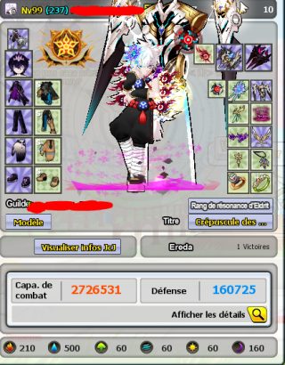 Vend Elsword compte EU France serveur, compte Elsword à vendre